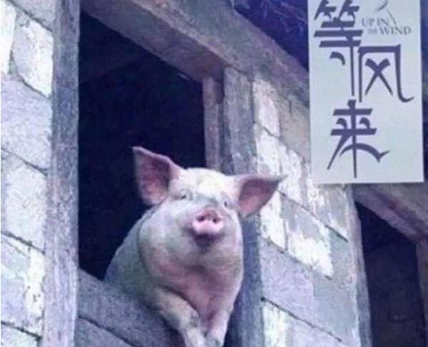 “脱发、焦虑，几乎每晚都失眠……”，我们采访了36家微商大佬