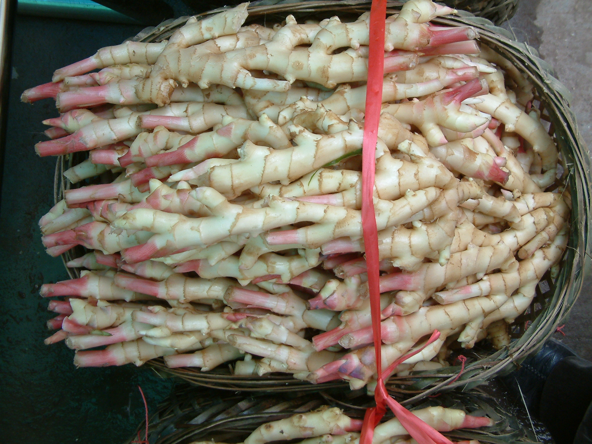 楼顶生姜怎么种植高产,想要生姜种植高产这些技术少不了