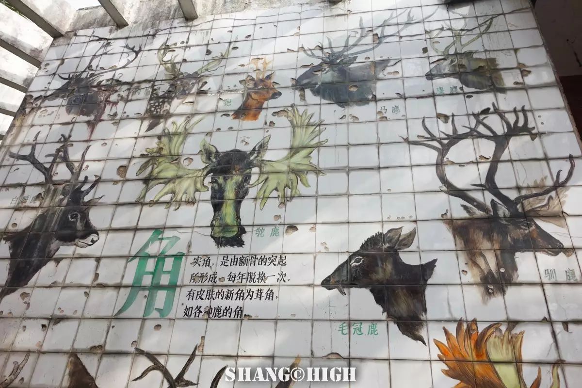 记者探访广州动物园,动物园观察动物