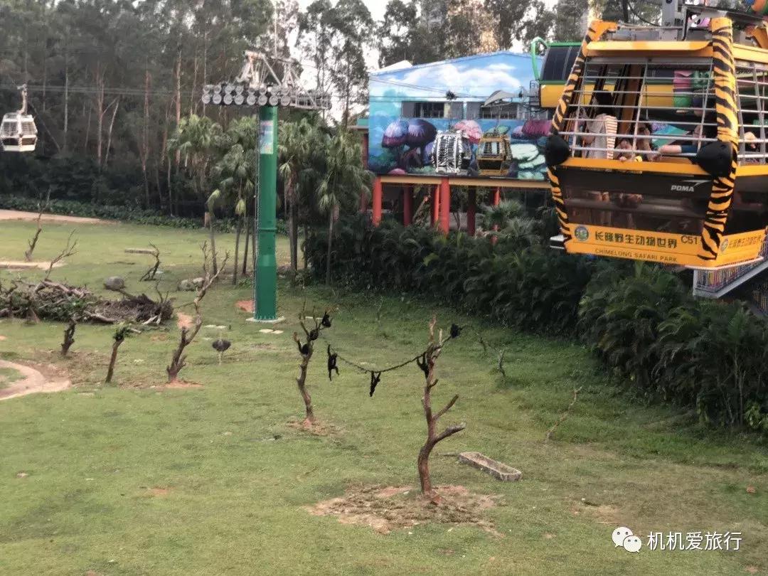 珠海长隆和广州长隆旅行攻略,珠海长隆和广州长隆旅游攻略区别