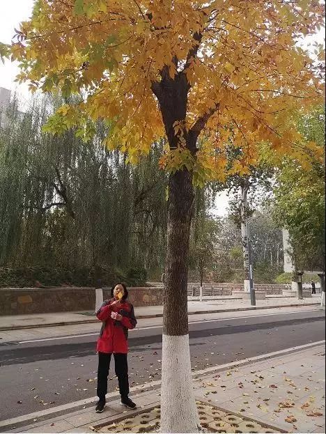 双十一优惠不停歇,双十一优惠特多