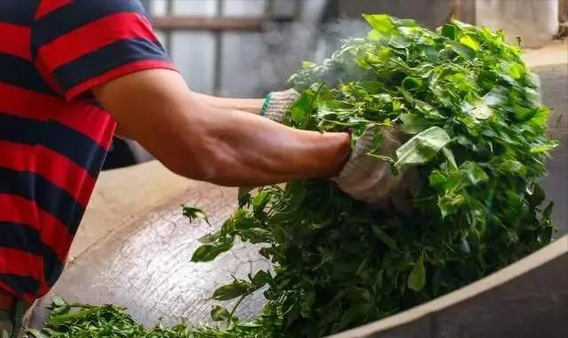 普洱茶变酸味是什么原因,普洱茶喝出酸味的原因及解决办法