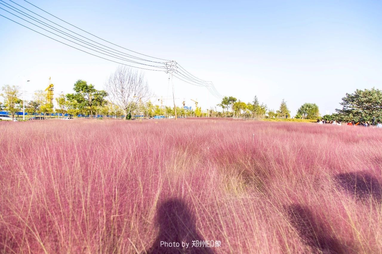 郑州漂亮的秋色风景,郑州的这些湖畔藏着最美的秋色