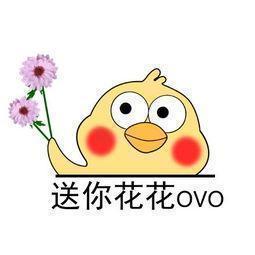 花艺插花常见花名有哪些,鲜花插花的技巧有哪些