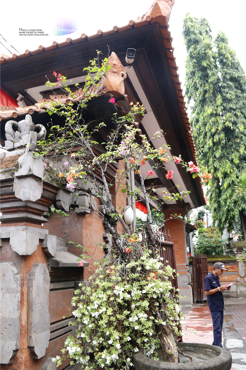 印尼猫屎咖啡比普通咖啡贵几倍,雅丁山印尼猫屎风味咖啡价格