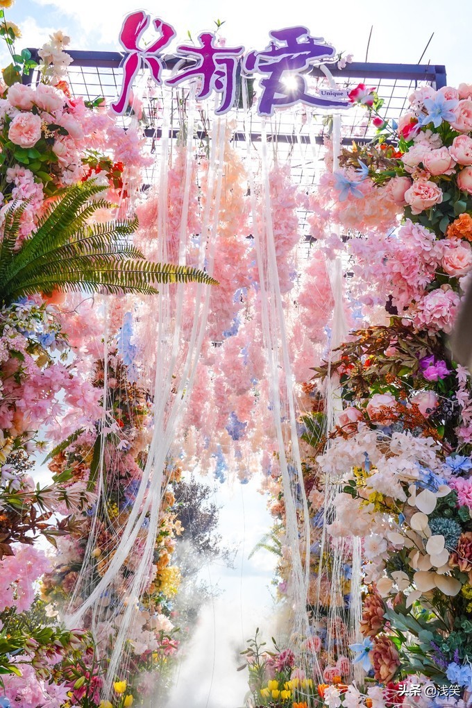 芬芳之人方能遇到芬芳之心，郁金香开成了荷兰花海