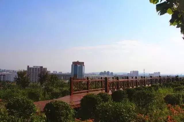 禹州清明踏青旅游攻略,禹州春游爬山的好地方