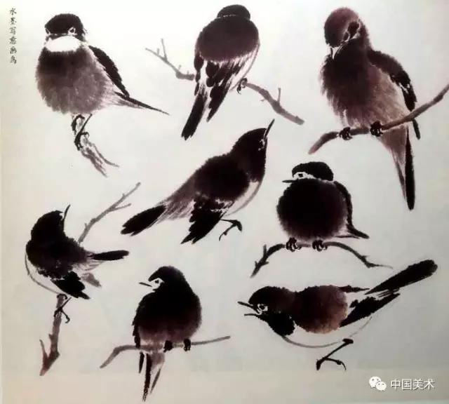 禽鸟画教程,最简单的禽鸟画法