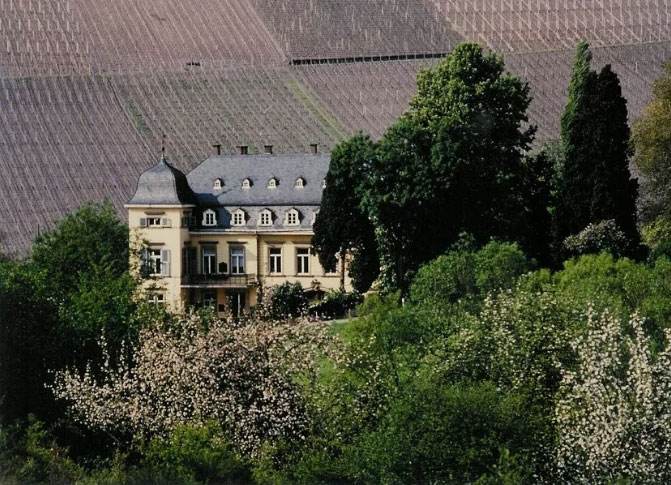 世界顶级葡萄酒拉菲,最贵的拉菲城堡干红葡萄酒1982