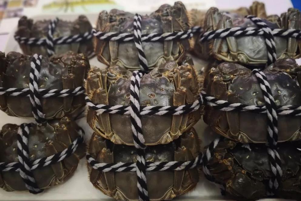 哪里的大闸蟹最正宗好吃,大闸蟹哪里的最正宗最好吃