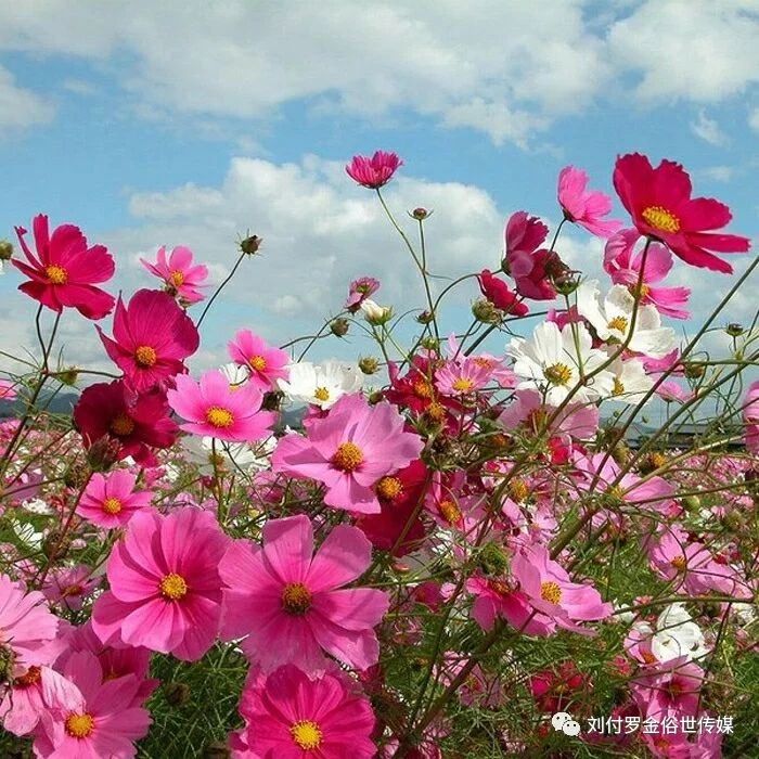 微信群不见了如何找回,微信群不见了怎么找回