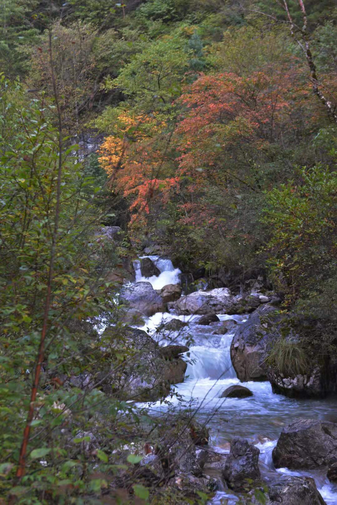 中小旅行社如何发展,小型旅行社的营销建议