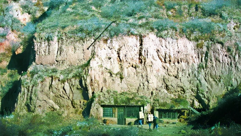 新华书店五十春秋,新华书店的发展史