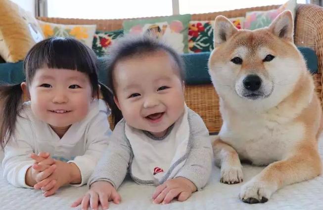 二胎同姓起名,二胎怎么取名