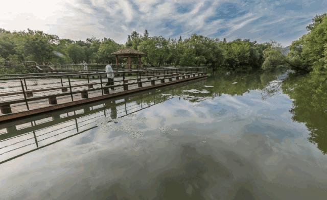 西溪湿地免费开放预约,西溪湿地免费区游览时间
