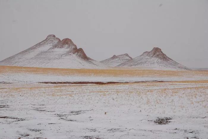 羌塘无人区为什么被称为生命禁区,世界上十大诡异禁区