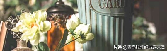 澶嶅彜濠氱ぜ闂ㄧエ鍏嶈垂棰嗗彇,澶嶅彜濠氱ぜ甯傞泦