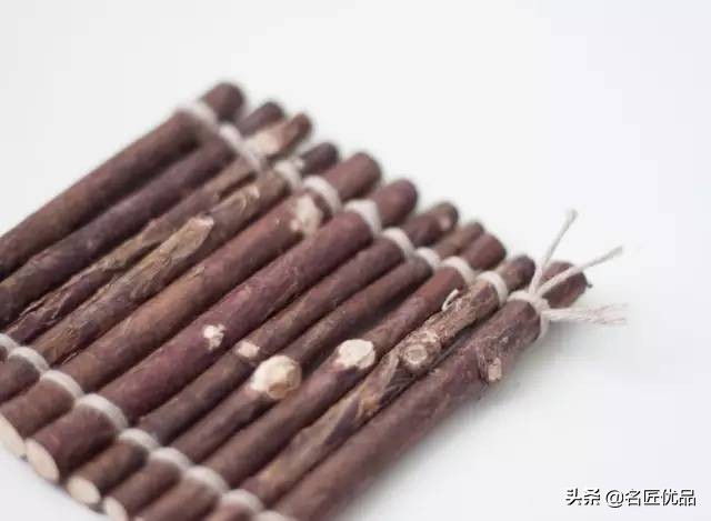 枯木再逢春老树发新芽,枯木再次逢春