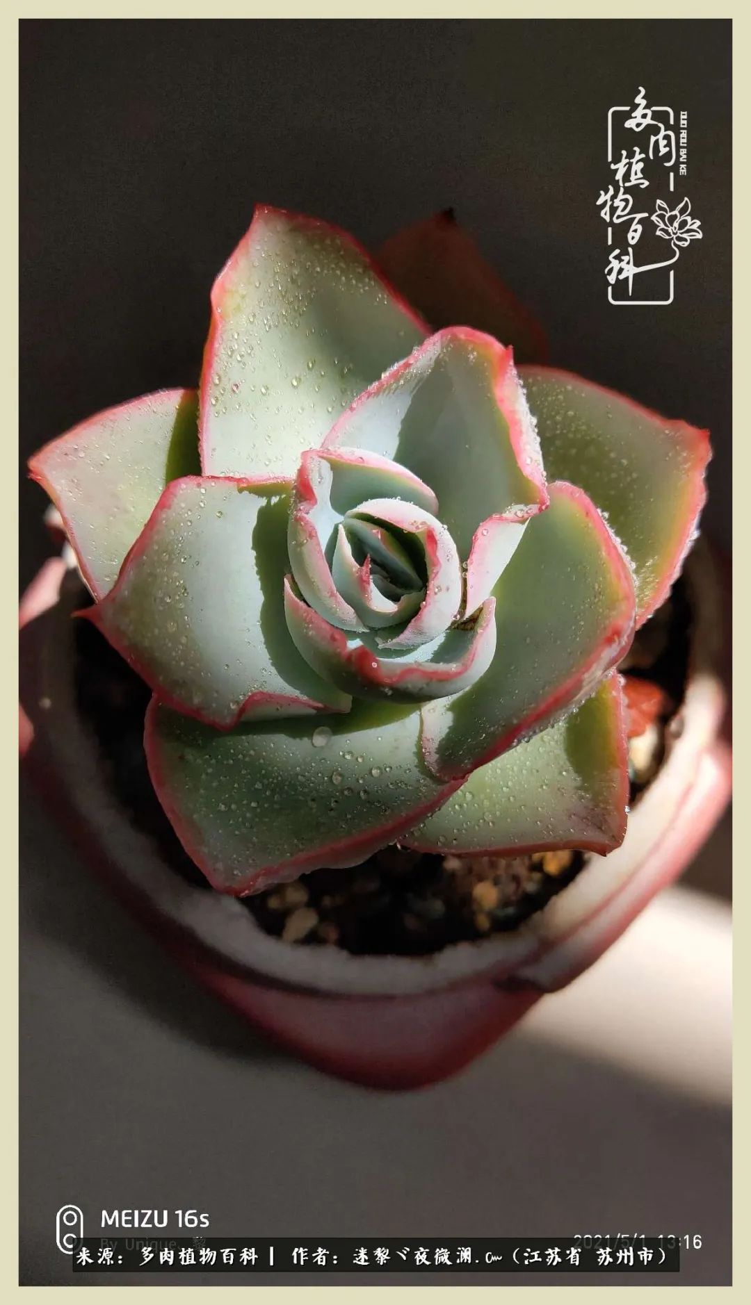 秋尽冬来岁月不居时节如流,岁月不居时节如流水