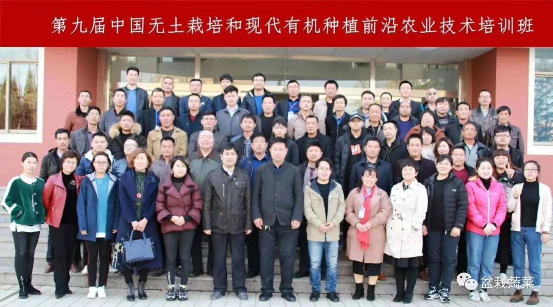 无土栽培和土壤种植技术研究所,农业无土栽培技术培训