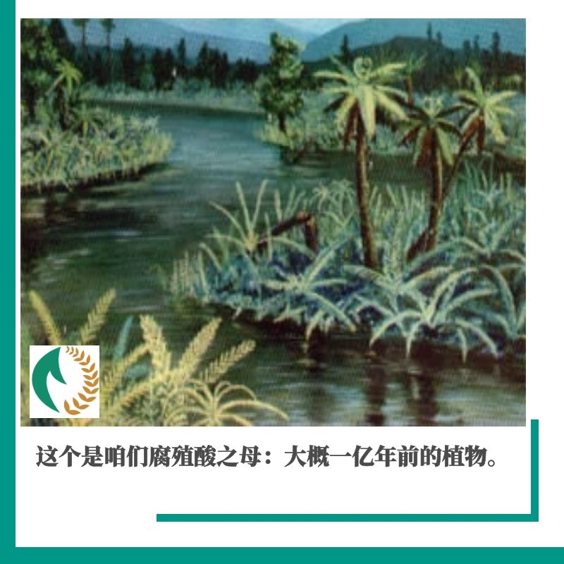 矿源腐植酸是有机肥吗?,矿源黄腐酸钾肥料20kg