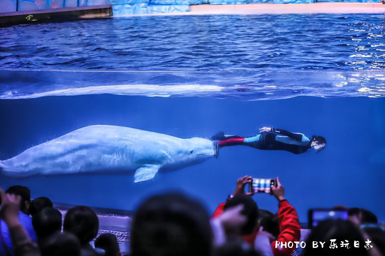 珠海亲子游必玩景点,珠海一日游适合带孩子玩的景点