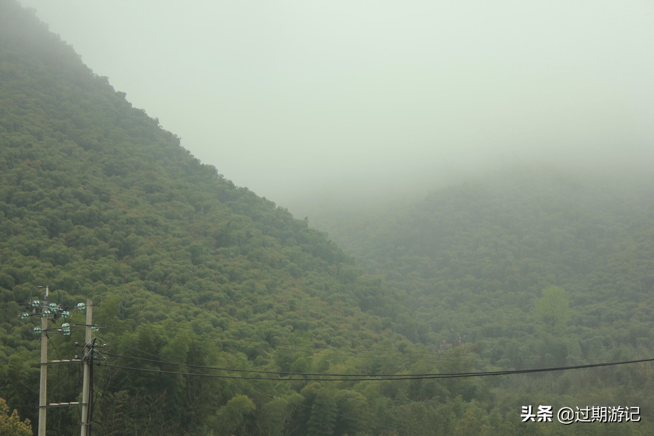 安吉大竹海旅行,冬季安吉大竹海景区
