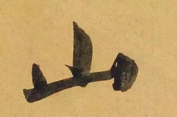 赵孟頫酒后泄密笔法秘密一览无余,赵孟頫喝醉酒写字