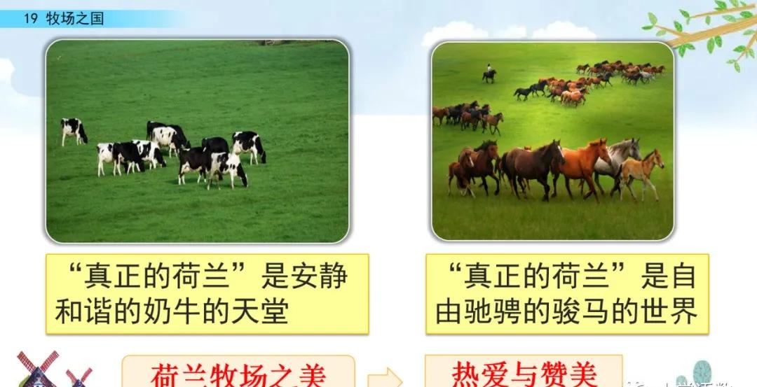 五下语文第19课牧场之国预习笔记,部编版五年级语文下册19牧场之国