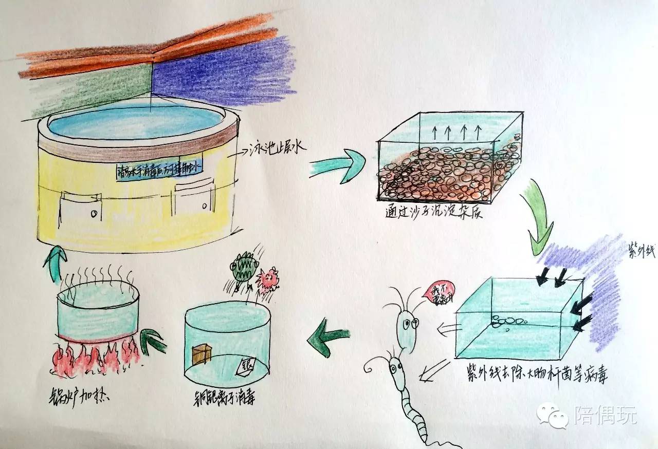 发现武汉6家尖板眼的婴幼潜水馆（内含水质测评）