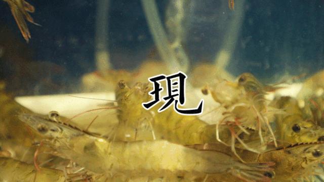 不务正业的“居酒屋”，吃完会变美！