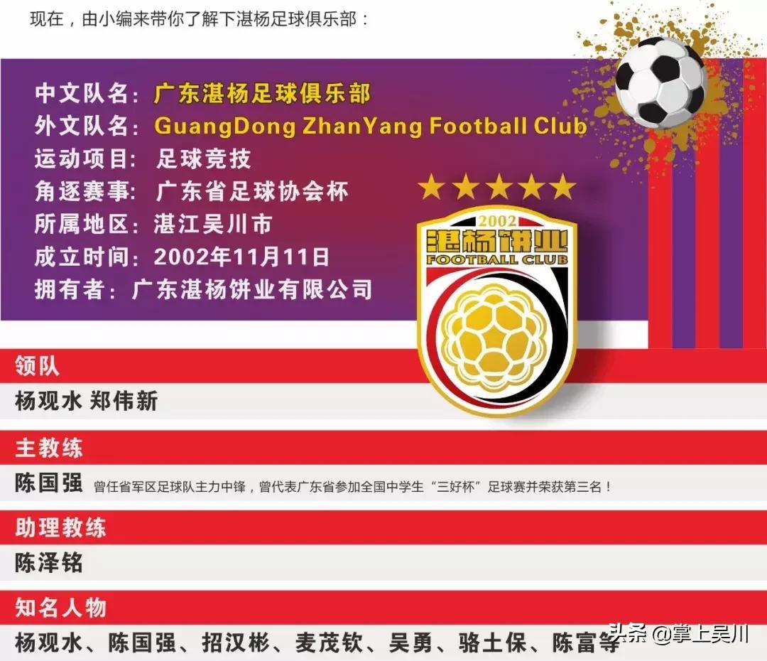 湛江足协杯决赛,广东省足协杯赛