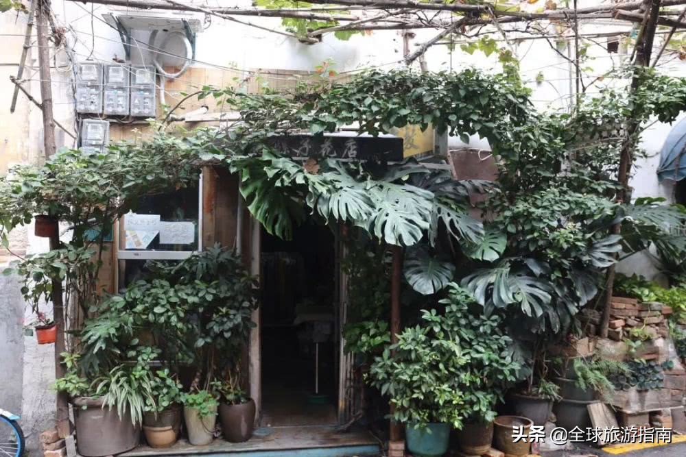 巷子里的花店有哪些,开在巷子的花店总是无人问津