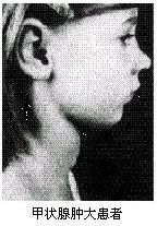 化学中考总复习12单元化学与生活,初中化学第十二单元知识点归纳