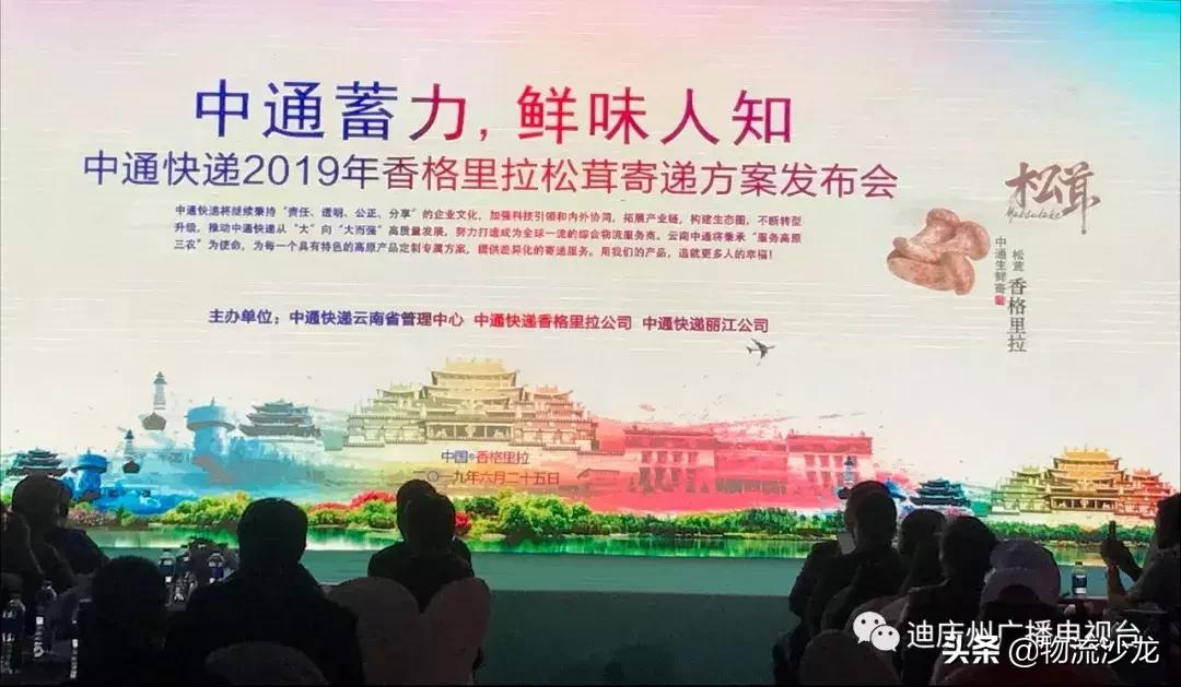 敢为天下鲜！中通快递发布2019年「香格里拉松茸」寄递方案