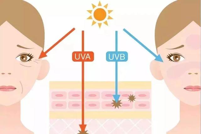 轻奢墨镜gm同款,墨镜品牌gm价格