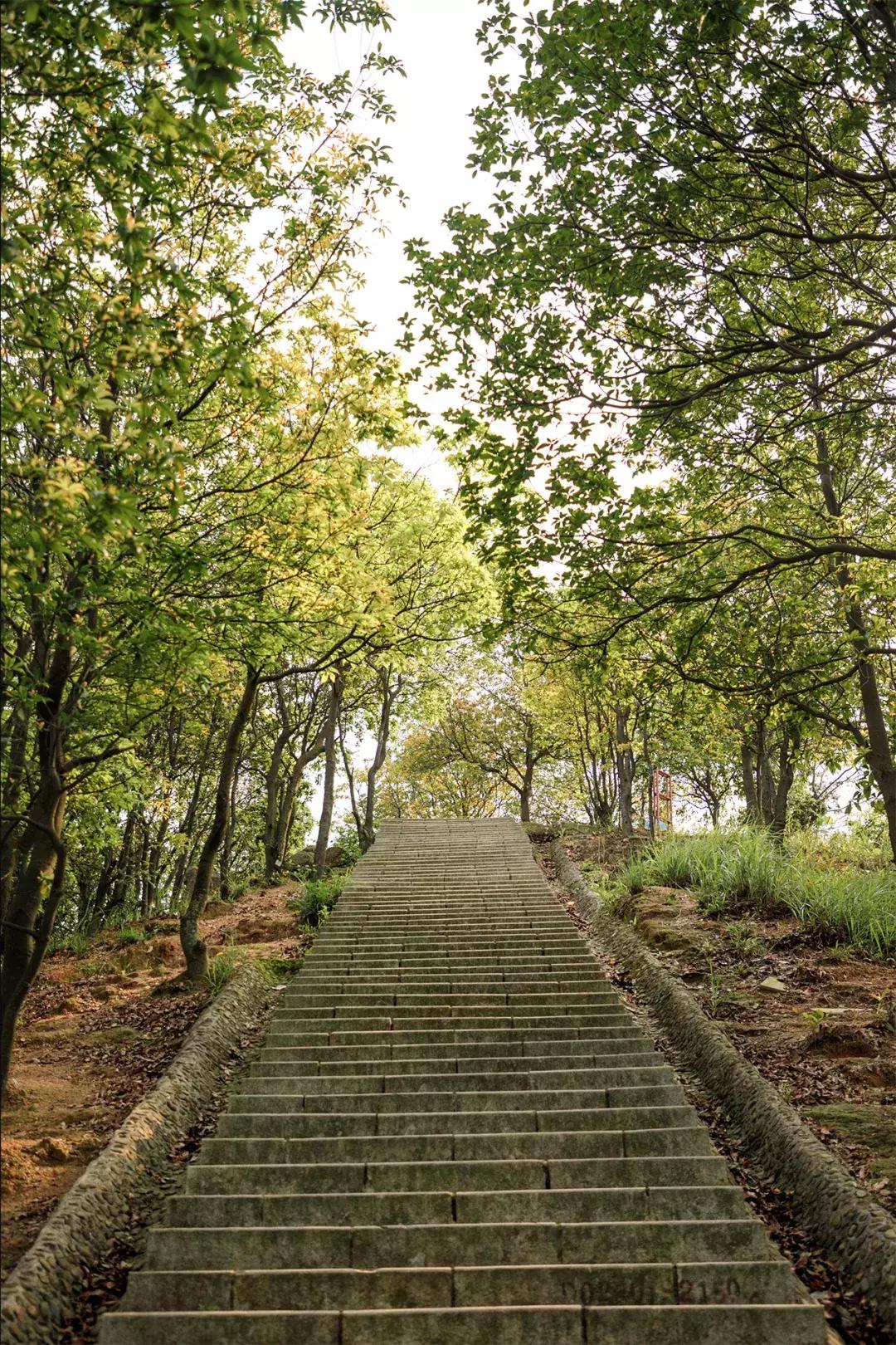 深圳十大一日游景点,深圳十大免费公园景点大全