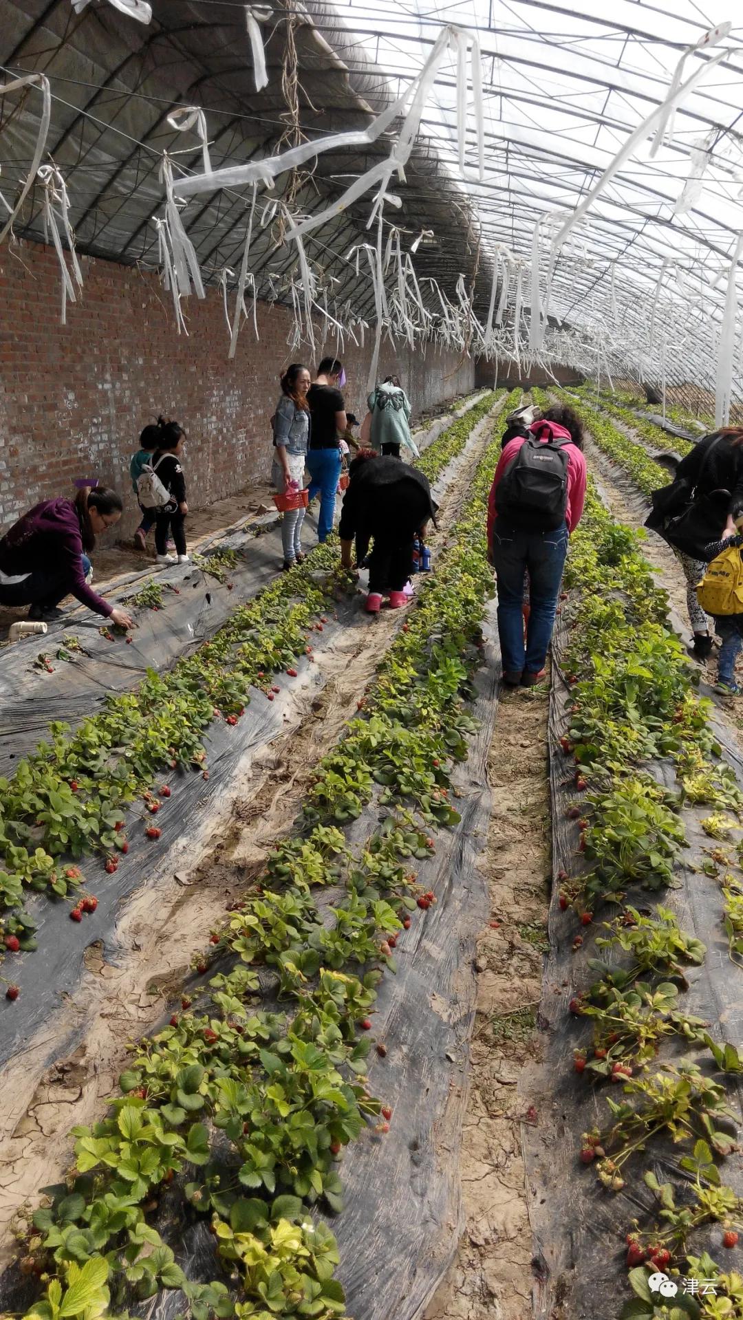 清明小长假值得去哪里,哪个地区的清明需要提前去