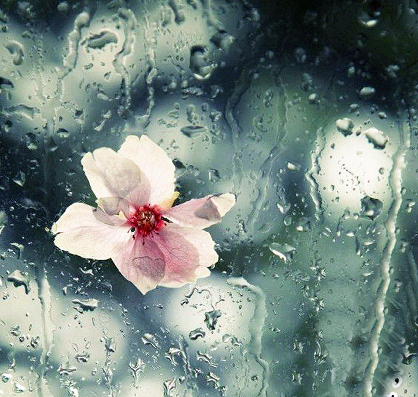 一个人只有明白这四点才能不吃亏,一个人做到极致的词语