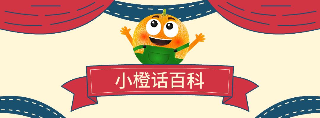 外国人嗑瓜子的纪录片,瓜子