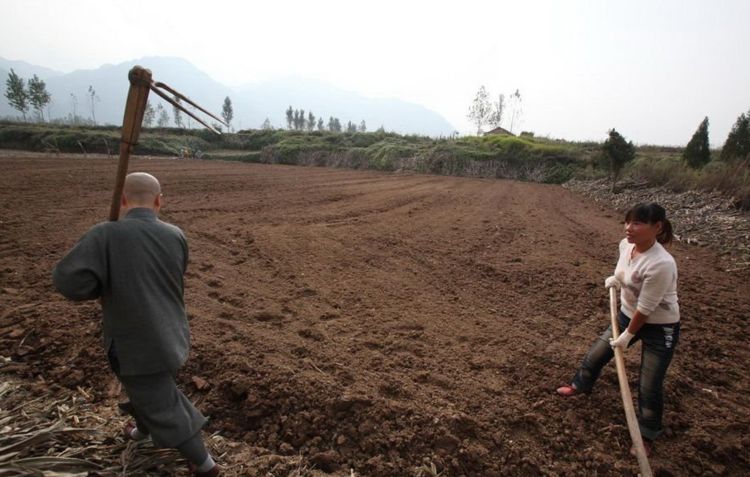 清华哲学系高材生出家,清华北大学霸出家当和尚