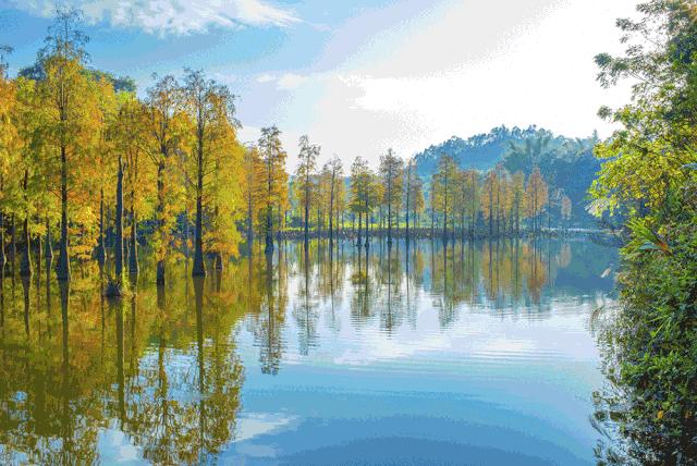 惠阳沙田润杨溪谷温泉电话号码,惠阳沙田润杨溪谷温泉门票