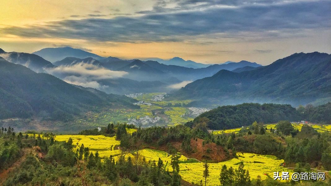 2月看油菜花3月看樱花,去城里看樱花去农村看油菜花
