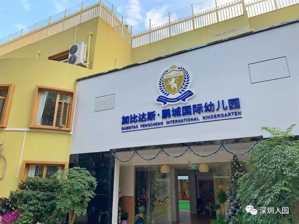 深圳双语幼儿园哪所比较好,深圳公立幼儿园学位充足
