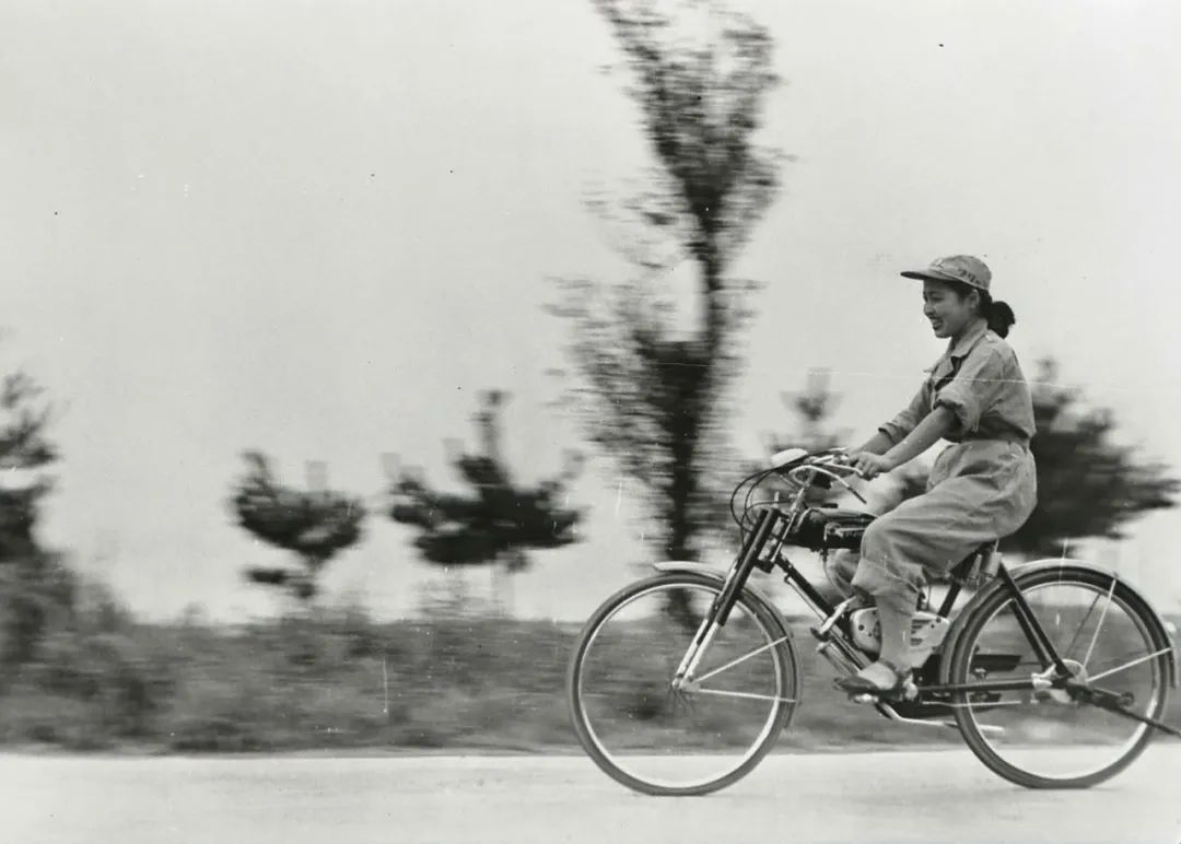 铃木是良心车企,铃木车企为什么这么多