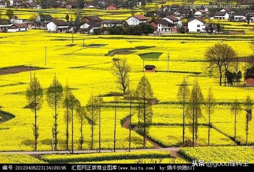 最容易认错、读错的地名，看看有没有你的家乡？