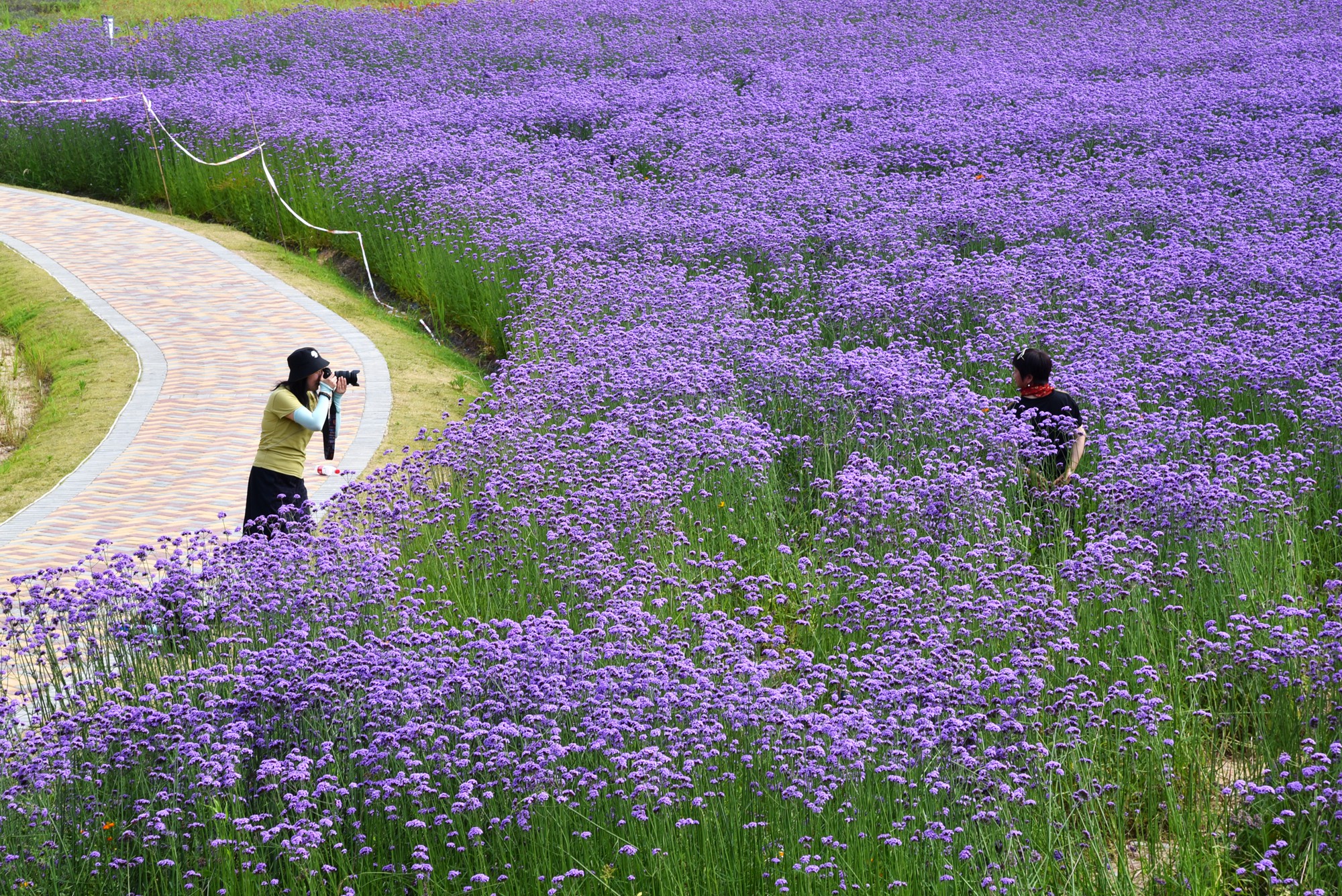 景德镇近代瓷器发展,千年瓷都景德镇有哪些瓷器