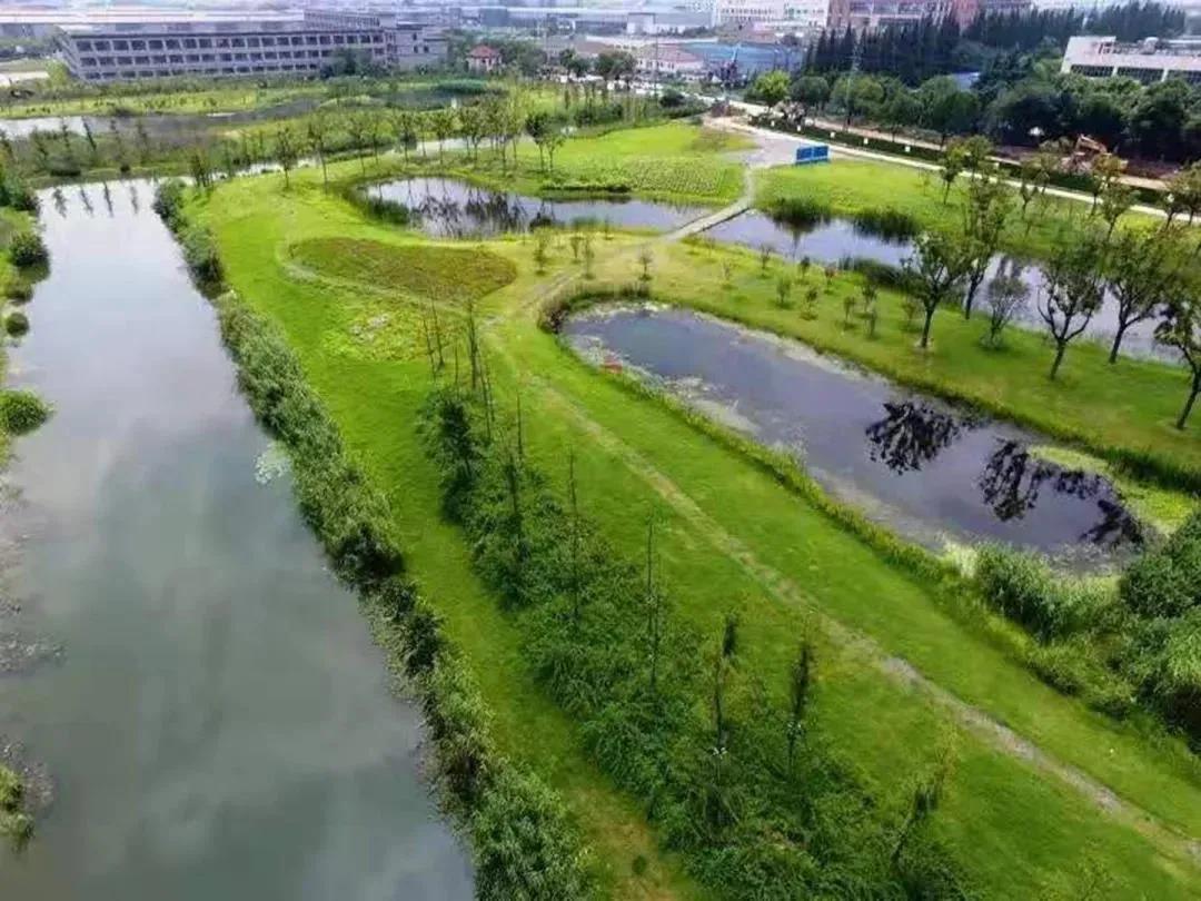 大局已定完整版视频,大局已定在线免费看