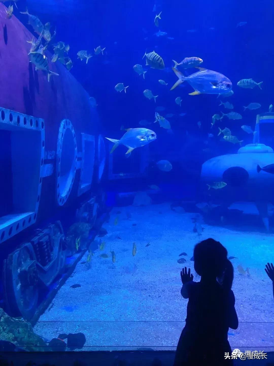 哈尔滨去威海亲子游,哈尔滨旅游攻略亲子游四天三夜