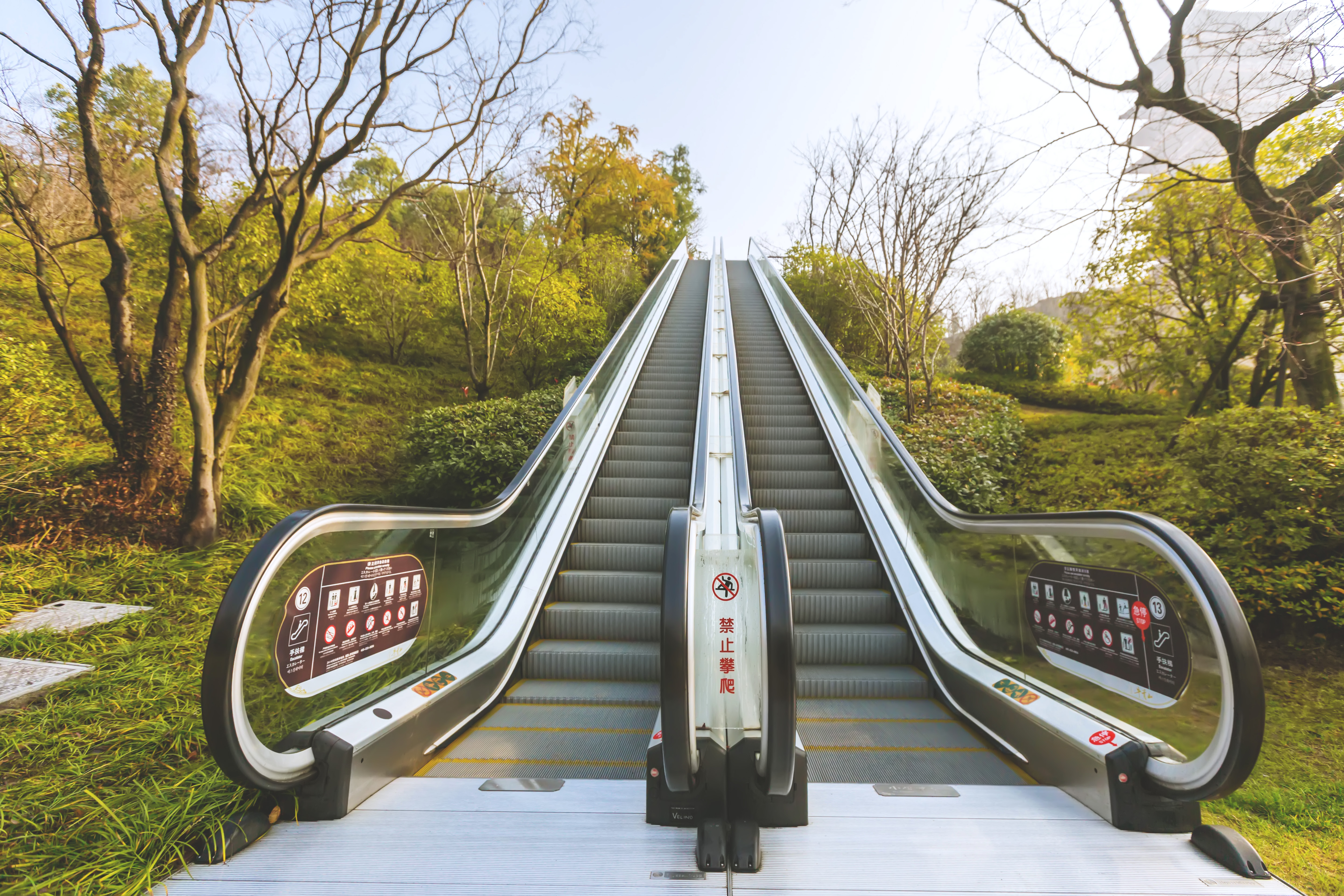 释迦牟尼佛的头盖骨,释迦牟尼25岁等身像之谜